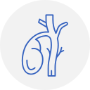 Common Bile Duct Diseases